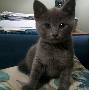 Thank you for sharing my mommas items.